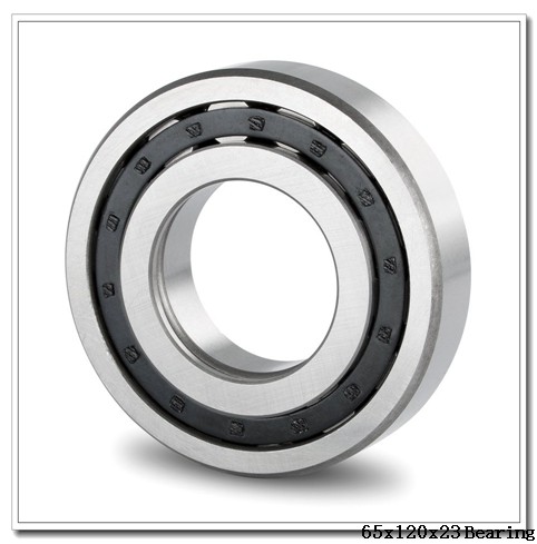 AST 6213-2RS deep groove ball bearings