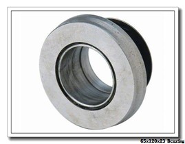 65,000 mm x 120,000 mm x 23,000 mm  NTN 6213LU deep groove ball bearings