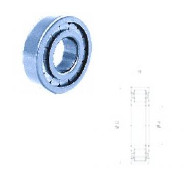 50 mm x 110 mm x 27 mm  Fersa NUP310FM/C3 cylindrical roller bearings