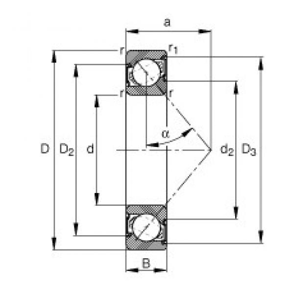 15 mm x 42 mm x 13 mm  FAG 7302-B-2RS-TVP angular contact ball bearings #3 image