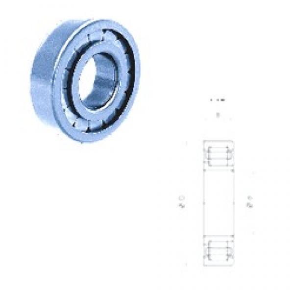 50 mm x 110 mm x 27 mm  Fersa NJ310FM cylindrical roller bearings #3 image